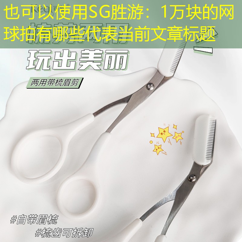 SG胜游：1万块的网球拍有哪些